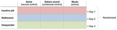 Music-Induced Analgesia in Healthy Participants Is Associated With Expected Pain Levels but Not Opioid or Dopamine-Dependent Mechanisms